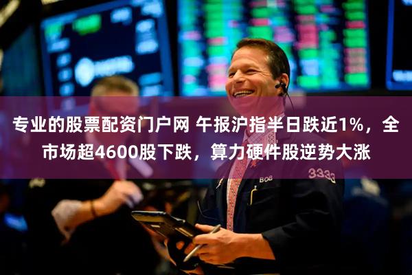 专业的股票配资门户网 午报沪指半日跌近1%，全市场超4600股下跌，算力硬件股逆势大涨